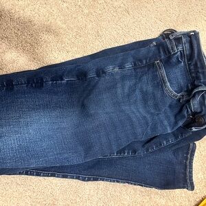 American Eagle Outfitters Dark Blue Skinny Jeans